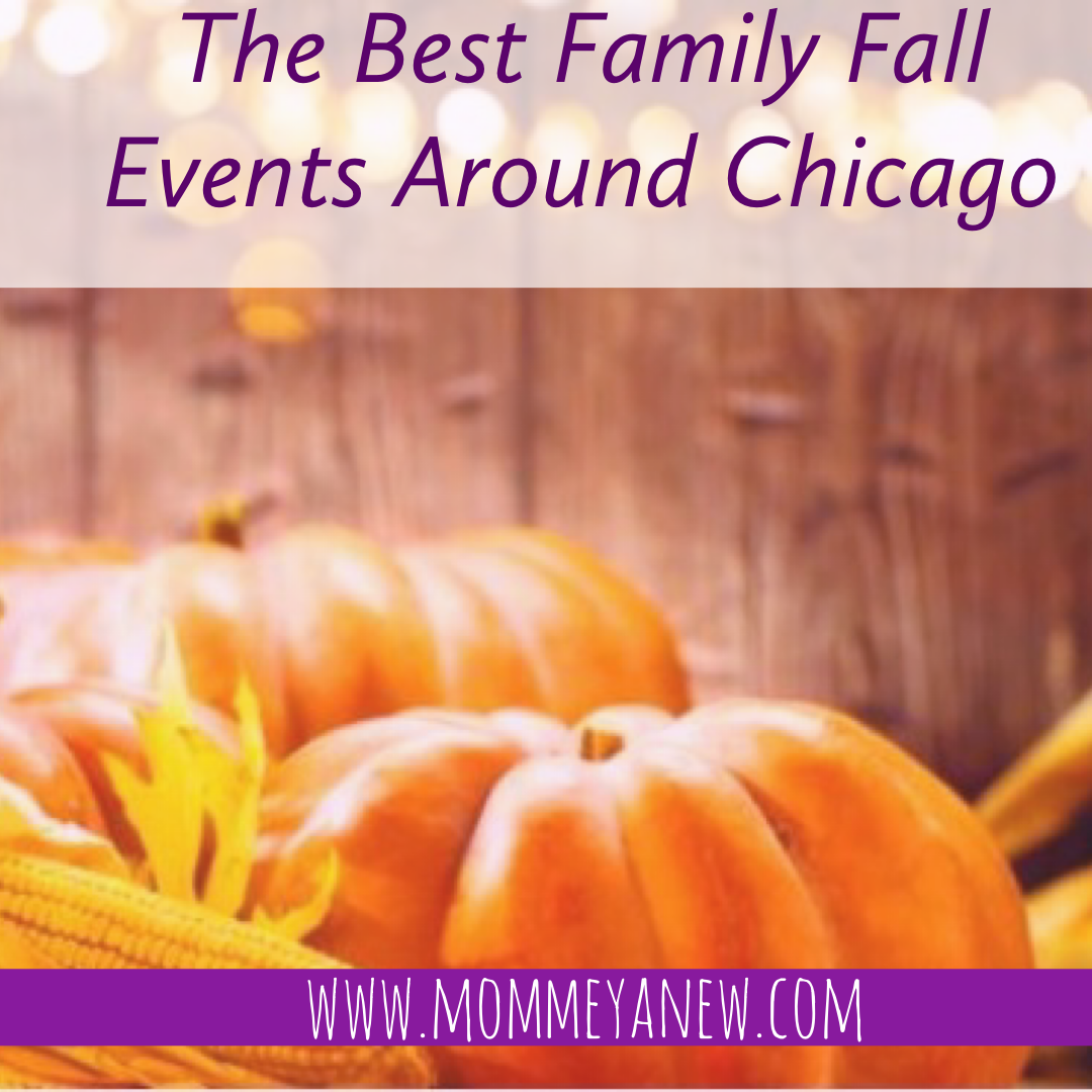 Fall Festival at North Park Village Nature Center
